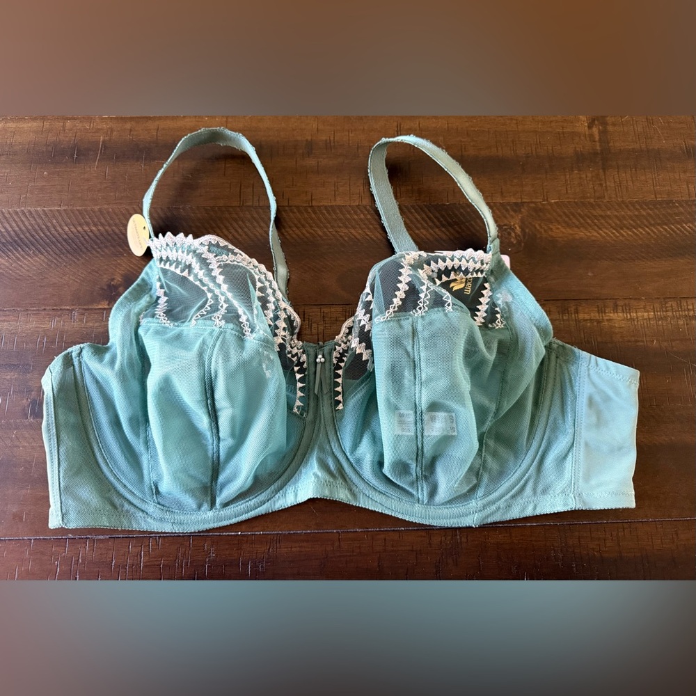 Wacoal 42D Evocative Edge Full Figure Bra Underwire Semi Sheer 855304 NWT - Picture 3 of 9